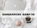 大连昆虫网站高清照片素材（昆虫图片下载）